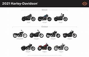 Harley Davidson Motorcycles Types Reviewmotors Co