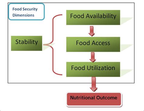 Basic Concepts Of Food Security Definition Dimensions And Integrated