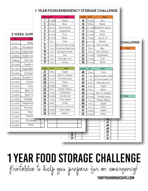 When you're trying to prepare yourself for an emergency, a one year food supply is a great addition to your provisions. 1 Year Food Storage Challenge - Thirty Handmade Days