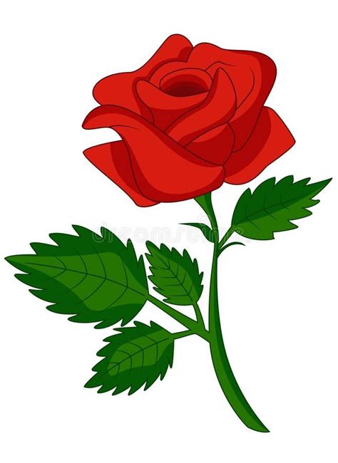 Red Rose Cartoon Vector Illustration Ros Cartoon Plant Cartoon Red Roses