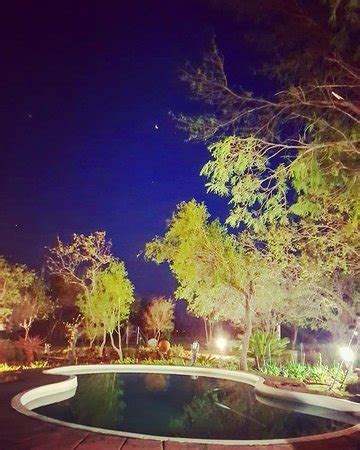 Discover the best of hammanskraal so you can plan your trip right. Bundhu-Rus Tours (Hammanskraal) - 2020 All You Need to ...