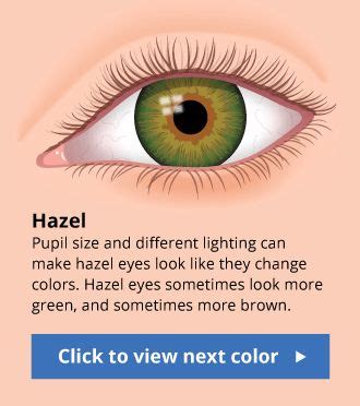 Behind These Hazel Eyes Adelaide City Optometrist Asian Eye Color