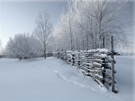 Wallpaper Fence Snow Winter Tracks Cover 1600x1200