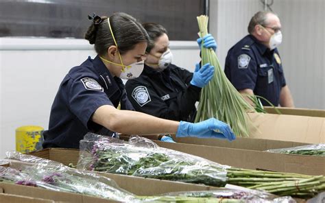 Food among the flowers, located in charleston, west virginia, is at quarrier street 1038. The next possible victims of the shutdown: Your food ...