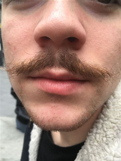 I Took A Picture Of My Brothers Moustache As It Was The Style Of