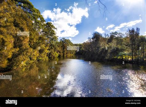 Flowing Waters Of Lane Cove River In Urban National Park Of Sydney City