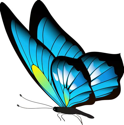 borboleta png 20 free Cliparts | Download images on Clipground 2021 png image