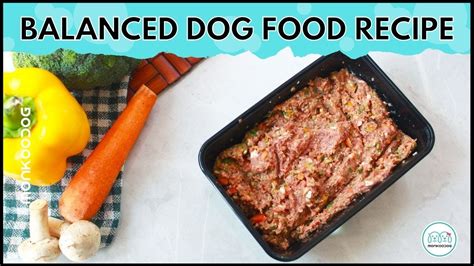 How To Make Balanced Homemade Dog Food