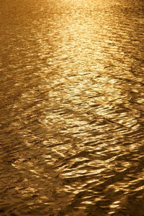 Golden Water Background Stock Photo Image Of Pond Flowing 8791234