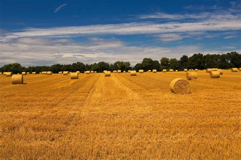 Bilder finden, die zum begriff august passen. Der Erntemonat August Foto & Bild | landschaft, natur ...
