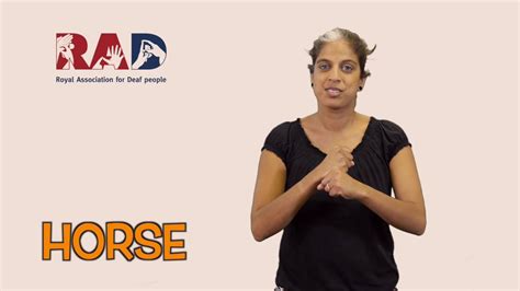 How To Sign Horse In British Sign Language Bsl Youtube