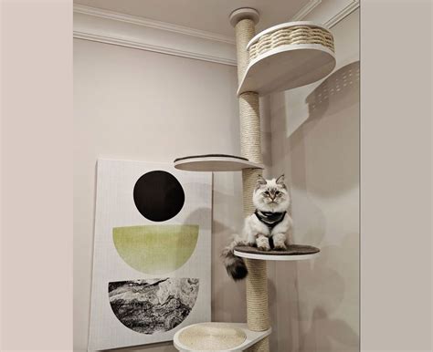 Floor To Ceiling Cat Tree Cat Basket Handmade Luxury Cat Etsy