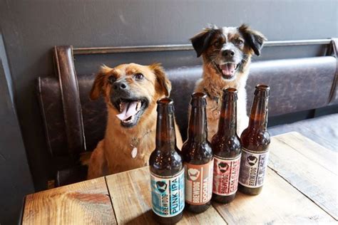 All Brewdogs Uk Bars Now Throwing Dog Birthday Parties American