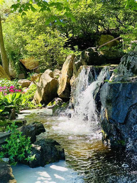 Waterfall At Botanical Gardens Rwaterfalls