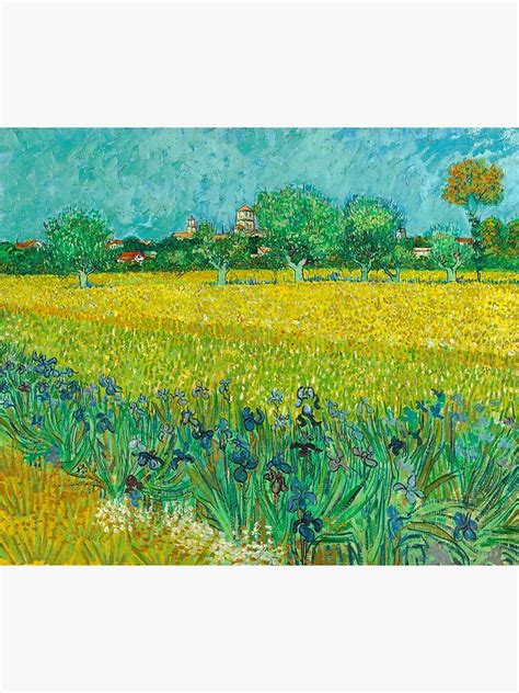 Field With Irises Near Arles By Vincent Van Gogh Poster For