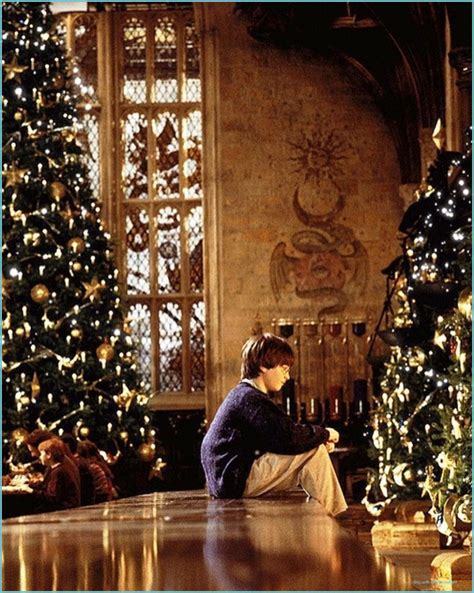 Harry Potter Christmas Wallpapers Wallpaper Cave