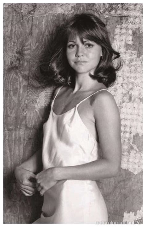 Sexy Sally Field Actress Pin Up Postcard Publ Buy Photos And