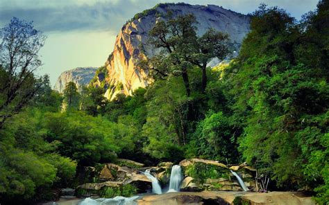 Wallpaper Trees Landscape Forest Mountains Waterfall