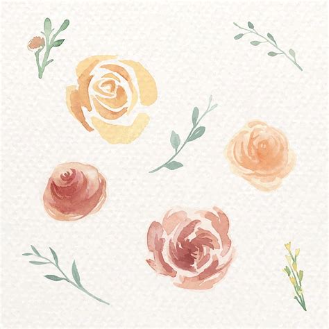 Watercolor Rose Images Free Vectors Pngs Mockups And Backgrounds