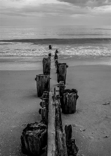 A Line In The Sand Photograph By Heidi Hermes Fine Art America