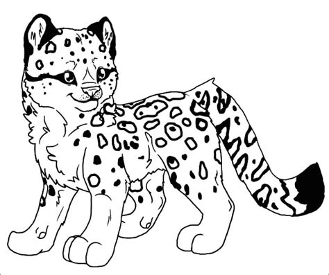 Leopard Coloring Pages Coloringbay