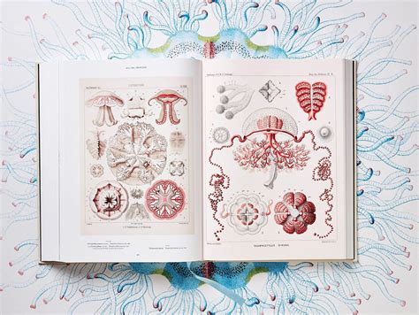 The Art And Science Of Ernst Haeckel A Compendium Colossal