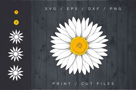 1468+ Layered Daisy Svg - SVG,PNG,EPS & DXF File Include