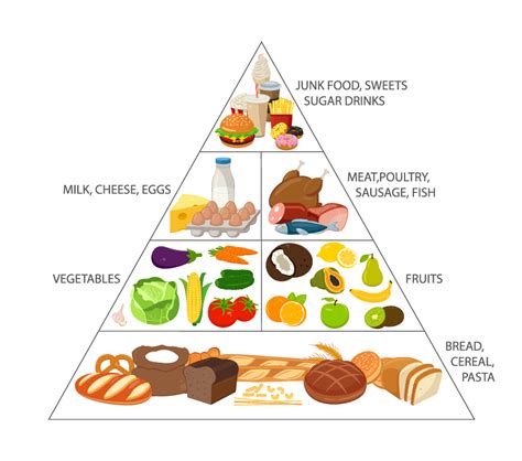 Food Guide Pyramid Diagram