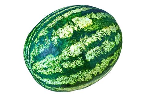 One Big Whole Fresh Raw Watermelon With Green Striped Rind Isolated On