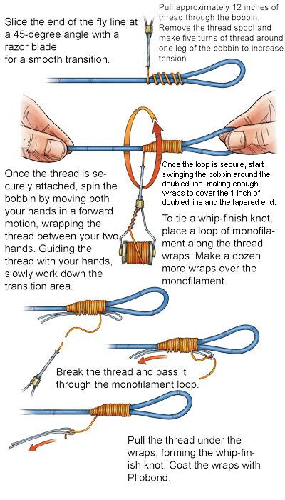 Bestof You Top How To Make A Loop Knot Fly Fishing Of The Decade Dont
