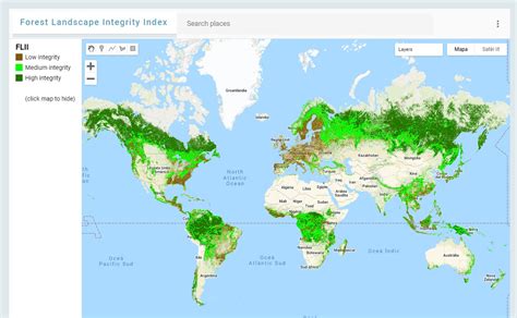 Descubre Con Este Mapa Dónde Están Los Mejores Bosques De Tu País Y Del
