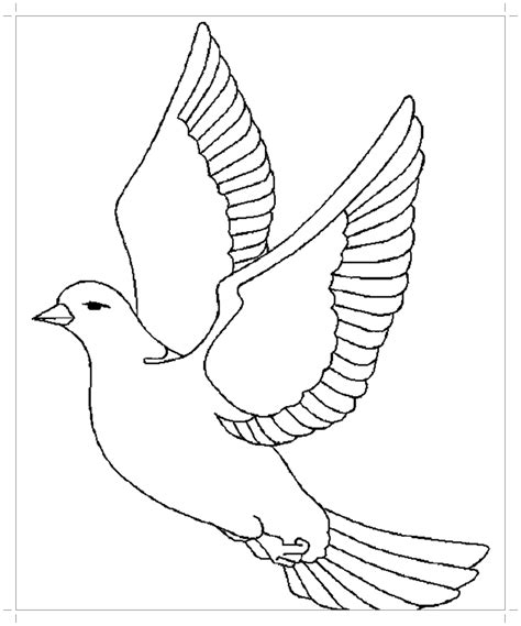 raskraska golub Desenho de pomba Esboço do pássaro Páginas de colorir