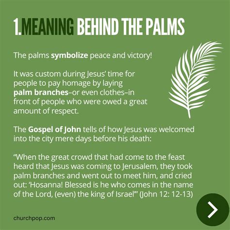 5 Facts About Palm Sunday Every Catholic Should Know