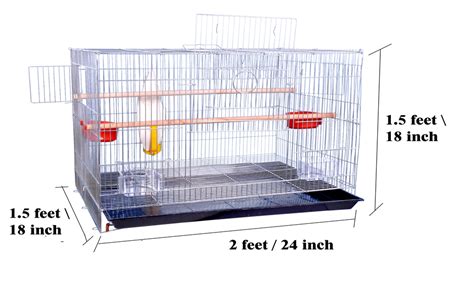 Avi Crave Zinc Bird Cage For Birdsparrotfincheslove Birds With 2