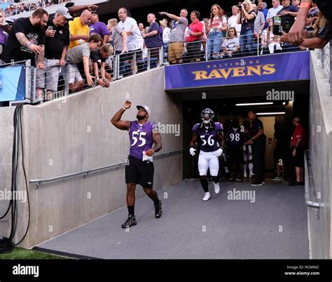 august 2nd 2018 ravens 55 terrell suggs during the chicago bears vs baltimore ravens at tom