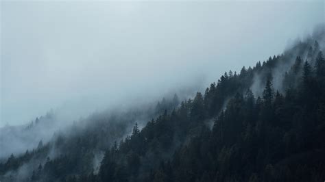 Free Images Landscape Tree Nature Forest Wilderness Snow Cloud