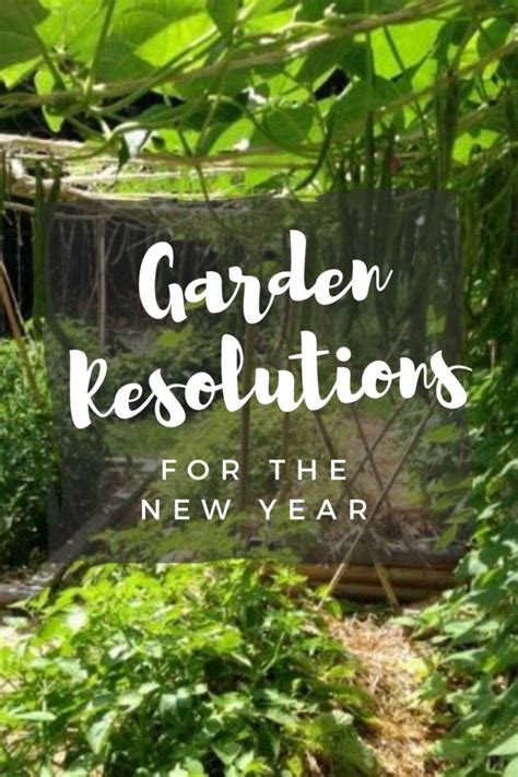 7 New Year Resolutions For Gardeners In 2019 Gardening For Beginners