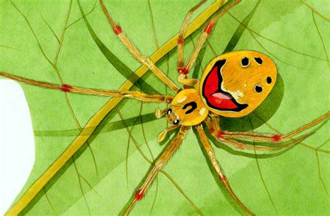 Scientists are not quite sure why these spiders have happy faces on their backs, but they believe that they are there for deterring predators, or stopping predators, like birds, from eating them. The Happy Faces Leave Home on Pantone Canvas Gallery