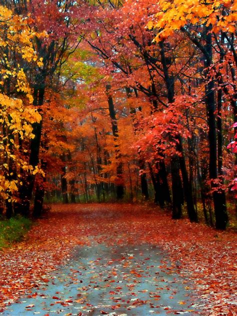 Autumn Season Wallpapers - Top Free Autumn Season Backgrounds ...
