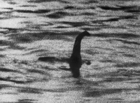 Loch Ness Monster Stock Image C0128930 Science Photo Library