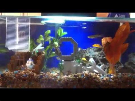 Quality saltwater aquarium supplies with expert advice. My Lego decorated fish tank - YouTube