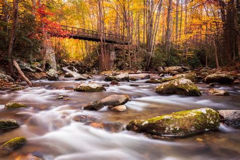 Everything You Need To Know About The Fall Foliage In