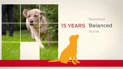 Dogs Are Omnivores Pet Nutrition By Purina Youtube