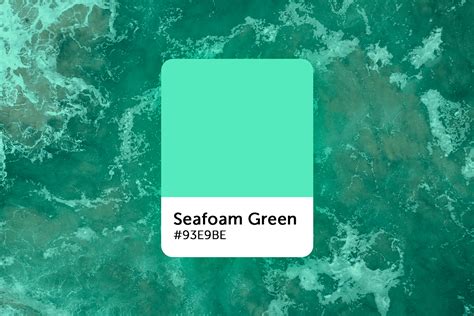 Seafoam Green And Gray Color Scheme A Door Tones Seafoam Green Color