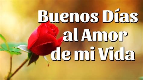117 Mensajes Románticos De Buenos Días Para La Esposa Buenos Dias