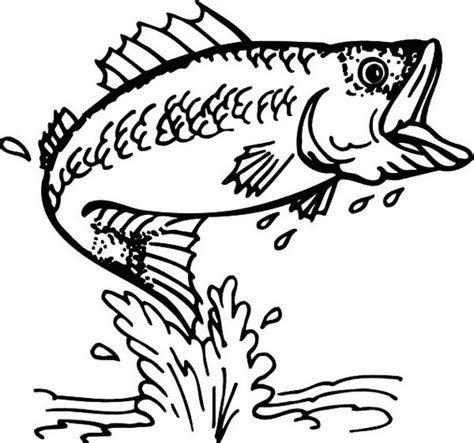Beautiful Trout Coloring Pages For Kids Coloring Pages
