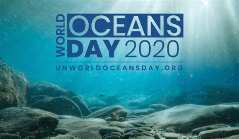 Our Ocean Is Our Future World Oceans Day 2020 Natural Pod