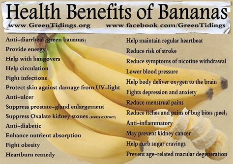 What Are The Powerful Health Benefits Of Bananas