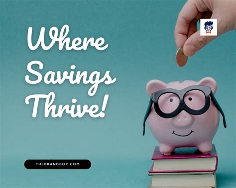 Best Save Money Slogans And Taglines Generator Guide Thebrandbabe Com