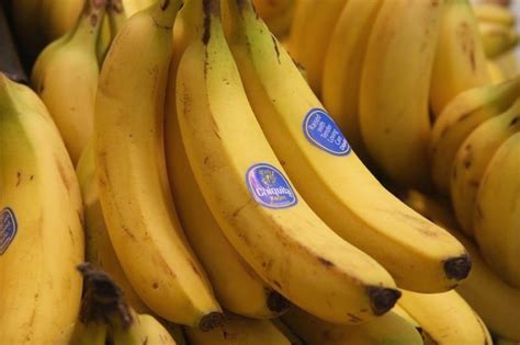 Rainforest Alliance Banana Marketing Unfair And Deceptive